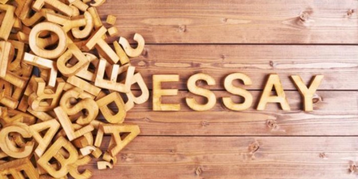 Writing an Essay on Thanksgiving